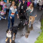Dog walkers among the massive croud enjying the fine evening.